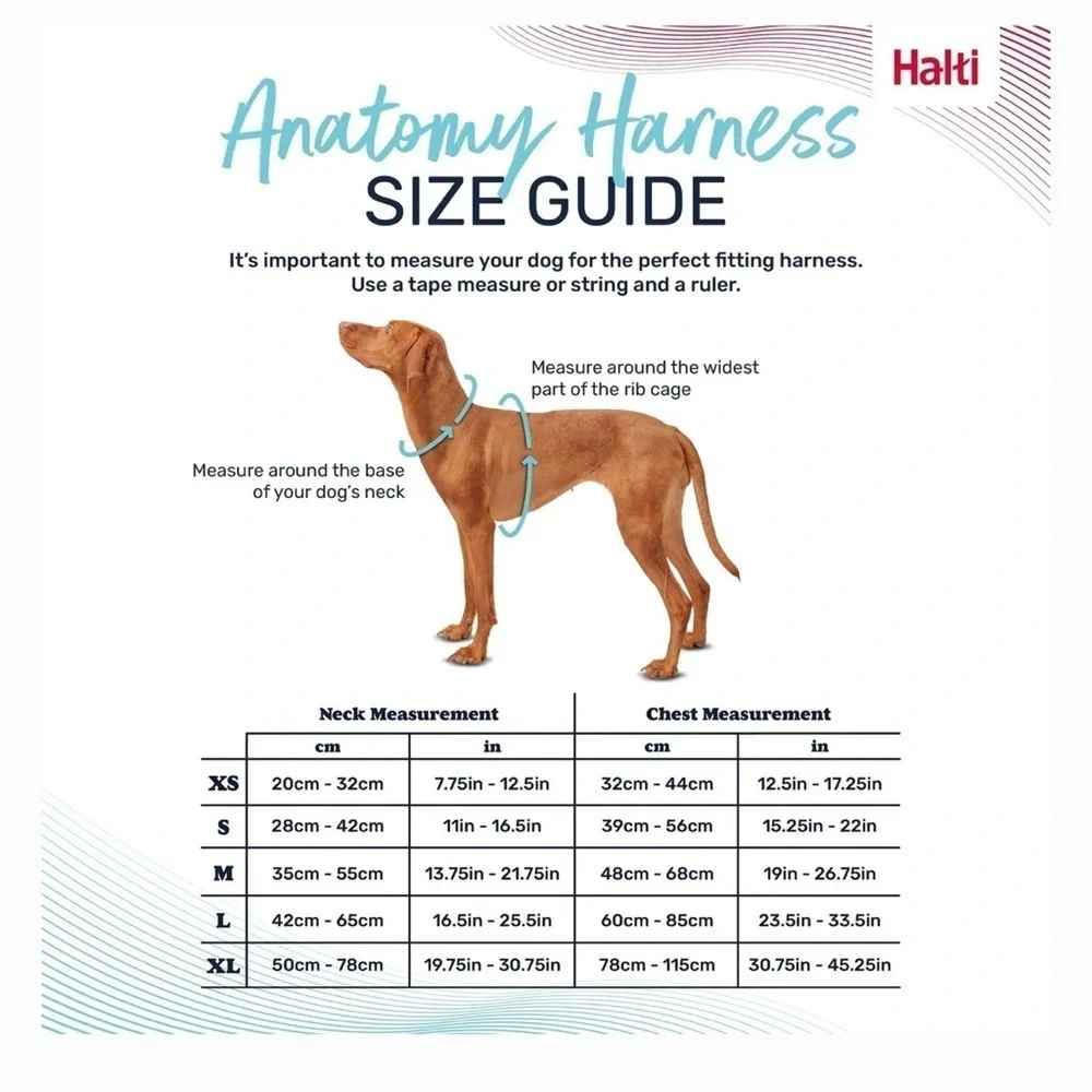 Halti Anatomy Reflective Dog Harness grey, Large: 23.5 to 33.5-in chest